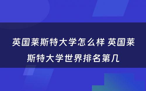 英国莱斯特大学怎么样 英国莱斯特大学世界排名第几