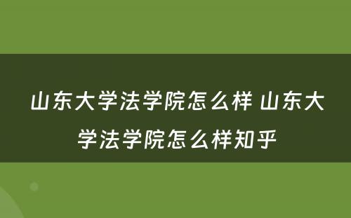 山东大学法学院怎么样 山东大学法学院怎么样知乎