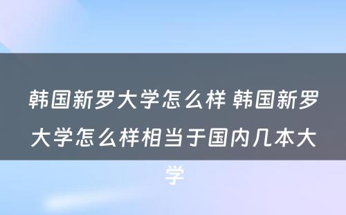 韩国新罗大学怎么样 韩国新罗大学怎么样相当于国内几本大学