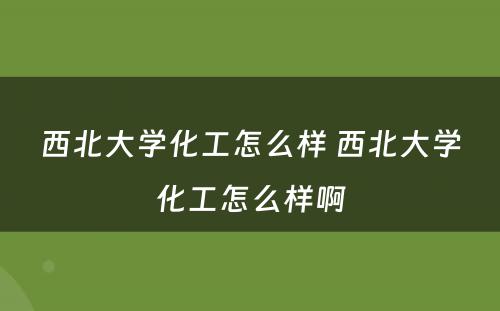 西北大学化工怎么样 西北大学化工怎么样啊