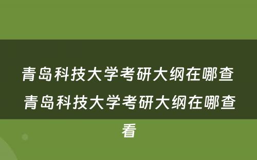 青岛科技大学考研大纲在哪查 青岛科技大学考研大纲在哪查看