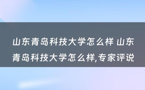 山东青岛科技大学怎么样 山东青岛科技大学怎么样,专家评说