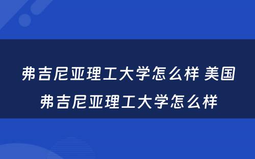 弗吉尼亚理工大学怎么样 美国弗吉尼亚理工大学怎么样