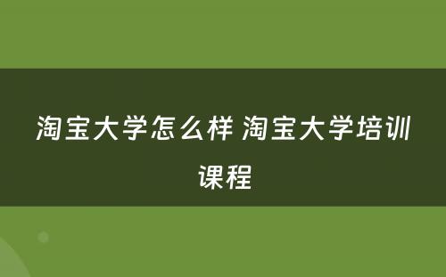 淘宝大学怎么样 淘宝大学培训课程