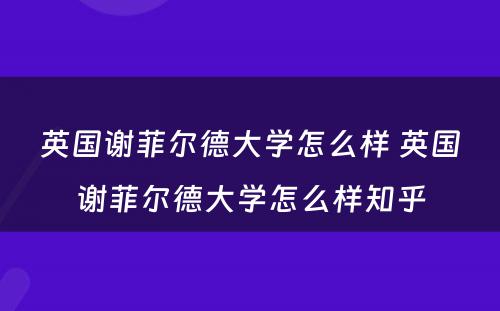 英国谢菲尔德大学怎么样 英国谢菲尔德大学怎么样知乎