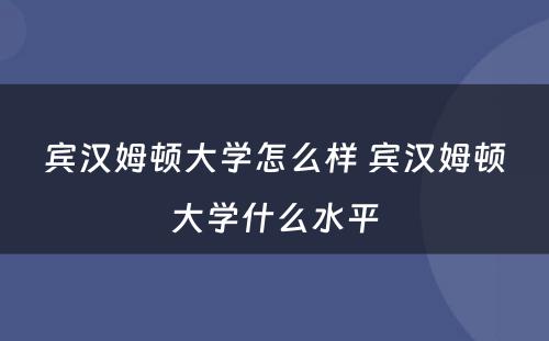 宾汉姆顿大学怎么样 宾汉姆顿大学什么水平