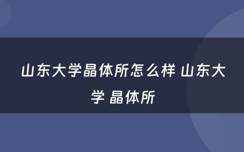 山东大学晶体所怎么样 山东大学 晶体所