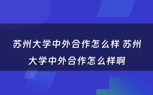 苏州大学中外合作怎么样 苏州大学中外合作怎么样啊