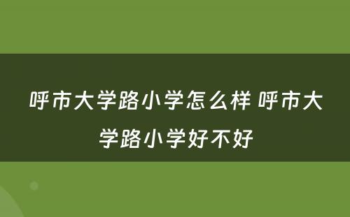 呼市大学路小学怎么样 呼市大学路小学好不好