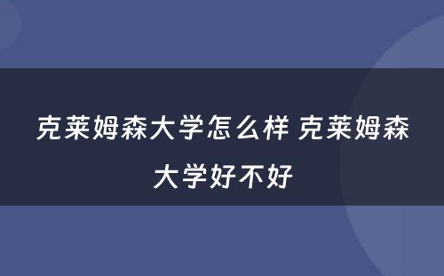 克莱姆森大学怎么样 克莱姆森大学好不好