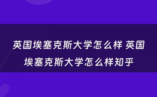 英国埃塞克斯大学怎么样 英国埃塞克斯大学怎么样知乎
