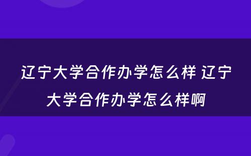 辽宁大学合作办学怎么样 辽宁大学合作办学怎么样啊