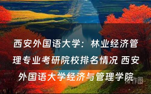 西安外国语大学：林业经济管理专业考研院校排名情况 西安外国语大学经济与管理学院