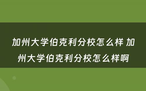 加州大学伯克利分校怎么样 加州大学伯克利分校怎么样啊