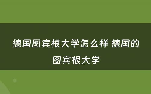 德国图宾根大学怎么样 德国的图宾根大学