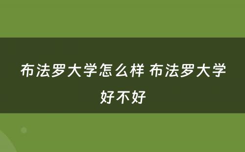 布法罗大学怎么样 布法罗大学好不好