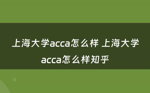 上海大学acca怎么样 上海大学acca怎么样知乎