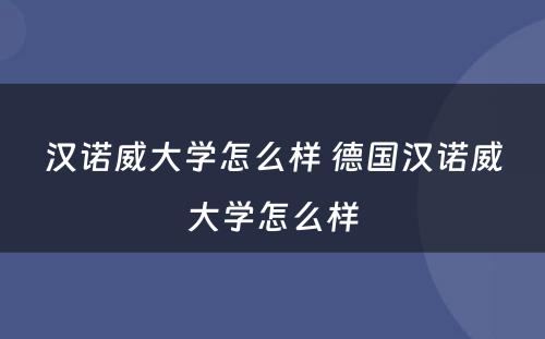 汉诺威大学怎么样 德国汉诺威大学怎么样