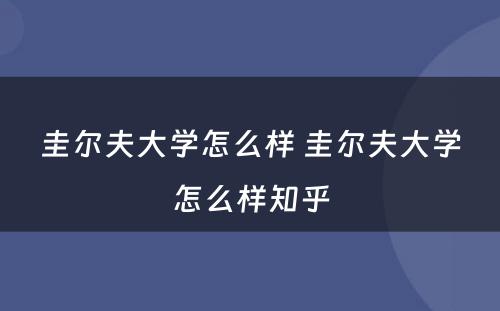 圭尔夫大学怎么样 圭尔夫大学怎么样知乎