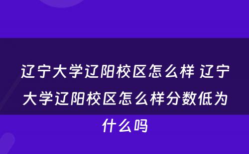 辽宁大学辽阳校区怎么样 辽宁大学辽阳校区怎么样分数低为什么吗