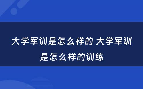 大学军训是怎么样的 大学军训是怎么样的训练