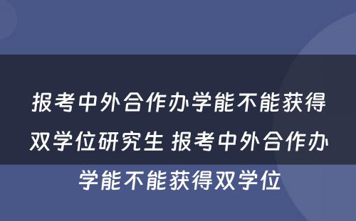 报考中外合作办学能不能获得双学位研究生 报考中外合作办学能不能获得双学位