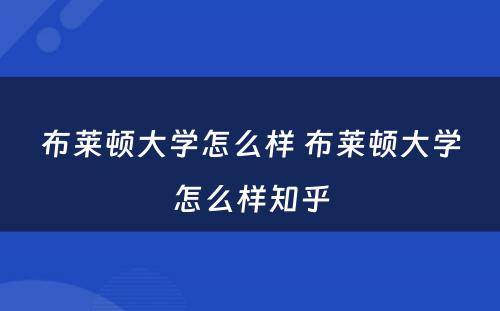 布莱顿大学怎么样 布莱顿大学怎么样知乎