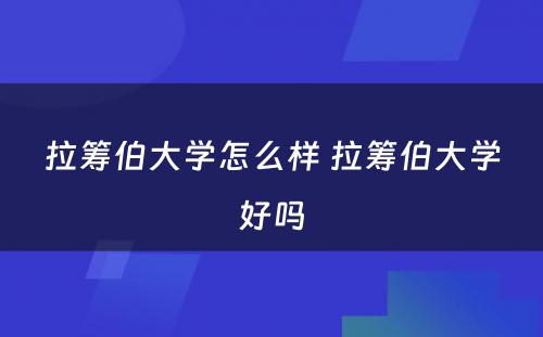 拉筹伯大学怎么样 拉筹伯大学好吗