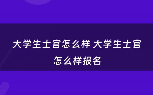 大学生士官怎么样 大学生士官怎么样报名