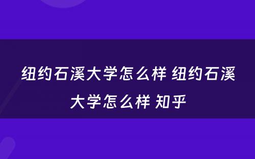纽约石溪大学怎么样 纽约石溪大学怎么样 知乎