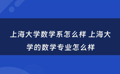 上海大学数学系怎么样 上海大学的数学专业怎么样