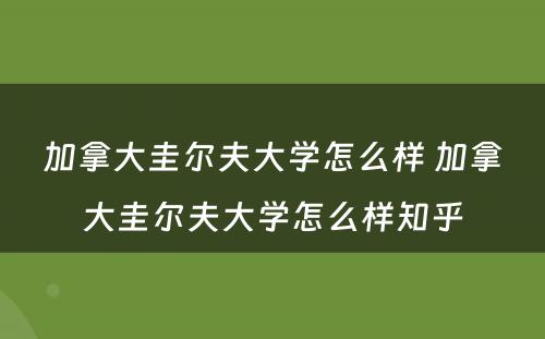 加拿大圭尔夫大学怎么样 加拿大圭尔夫大学怎么样知乎