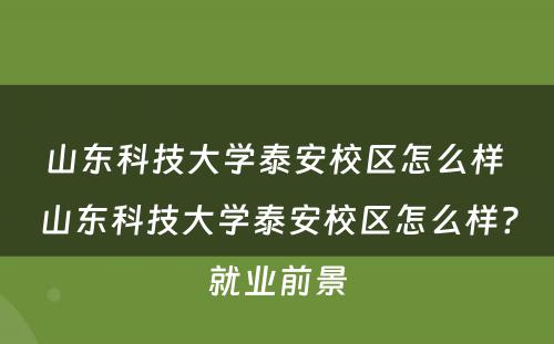 山东科技大学泰安校区怎么样 山东科技大学泰安校区怎么样?就业前景