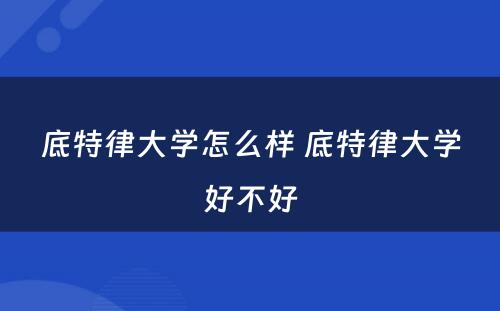 底特律大学怎么样 底特律大学好不好