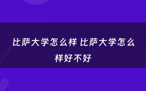 比萨大学怎么样 比萨大学怎么样好不好