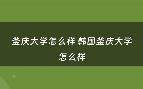 釜庆大学怎么样 韩国釜庆大学怎么样