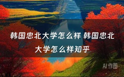 韩国忠北大学怎么样 韩国忠北大学怎么样知乎