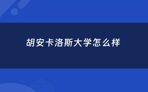 胡安卡洛斯大学怎么样 