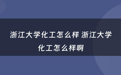 浙江大学化工怎么样 浙江大学化工怎么样啊