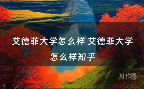 艾德菲大学怎么样 艾德菲大学怎么样知乎