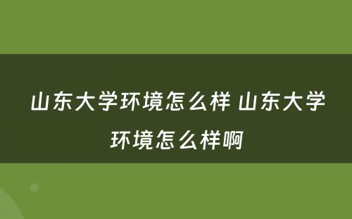 山东大学环境怎么样 山东大学环境怎么样啊