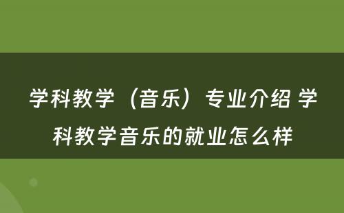 学科教学（音乐）专业介绍 学科教学音乐的就业怎么样