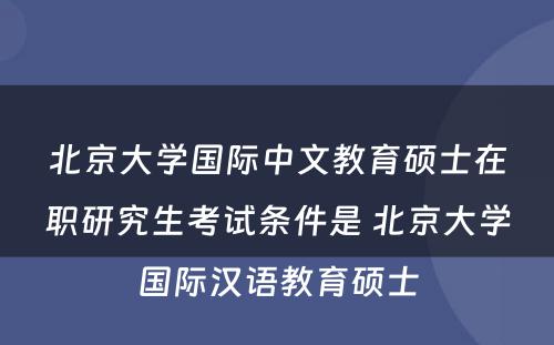 北京大学国际中文教育硕士在职研究生考试条件是 北京大学国际汉语教育硕士