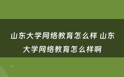 山东大学网络教育怎么样 山东大学网络教育怎么样啊