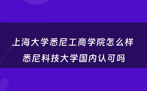 上海大学悉尼工商学院怎么样 悉尼科技大学国内认可吗