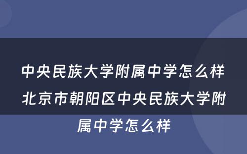 中央民族大学附属中学怎么样 北京市朝阳区中央民族大学附属中学怎么样