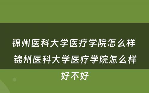 锦州医科大学医疗学院怎么样 锦州医科大学医疗学院怎么样好不好