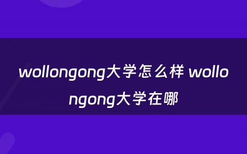 wollongong大学怎么样 wollongong大学在哪