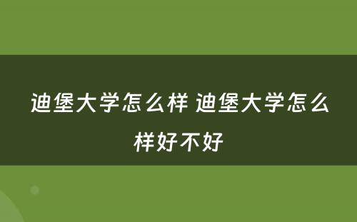 迪堡大学怎么样 迪堡大学怎么样好不好