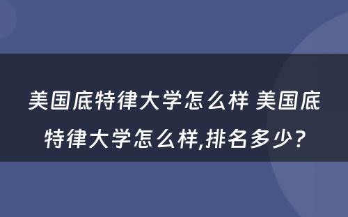 美国底特律大学怎么样 美国底特律大学怎么样,排名多少?
